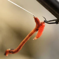 Guru LWG Feeder Special Spade End Barbed Hooks